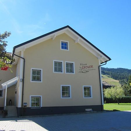 ザンクト・ゲオルゲン・オプ・ムーラウ Haus Ofner Am Kreischberg Bed & Breakfast エクステリア 写真