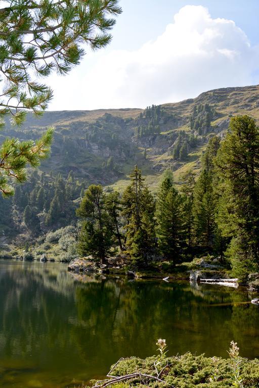 ザンクト・ゲオルゲン・オプ・ムーラウ Haus Ofner Am Kreischberg Bed & Breakfast エクステリア 写真