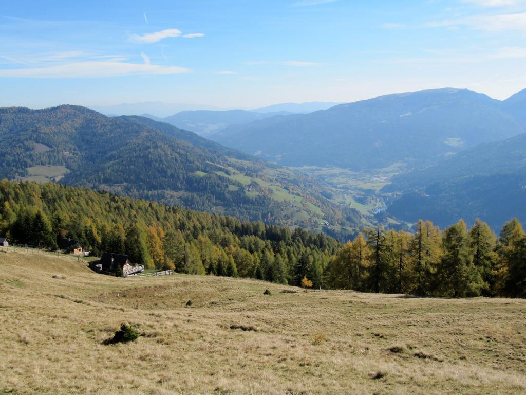 ザンクト・ゲオルゲン・オプ・ムーラウ Haus Ofner Am Kreischberg Bed & Breakfast エクステリア 写真